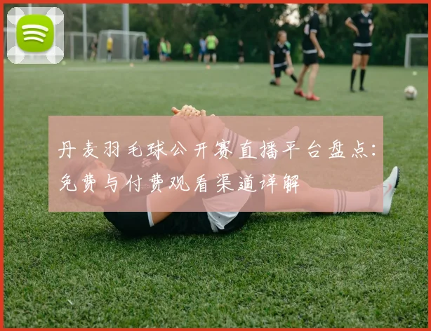 丹麦羽毛球公开赛直播平台盘点：免费与付费观看渠道详解