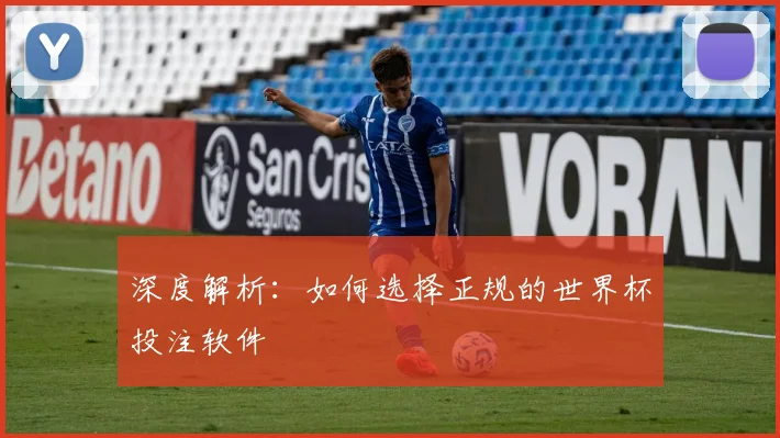 深度解析：如何选择正规的世界杯投注软件