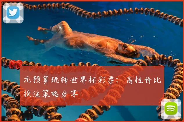 元预算玩转世界杯彩票：高性价比投注策略分享