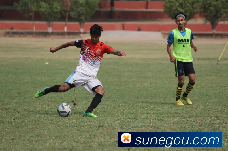 kaiyun.cn登录APP 封面图